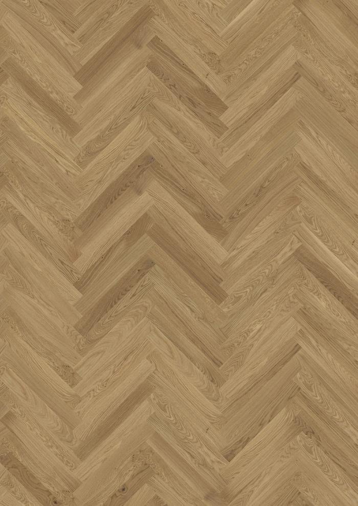 OAK STUDIO CD HB OILED