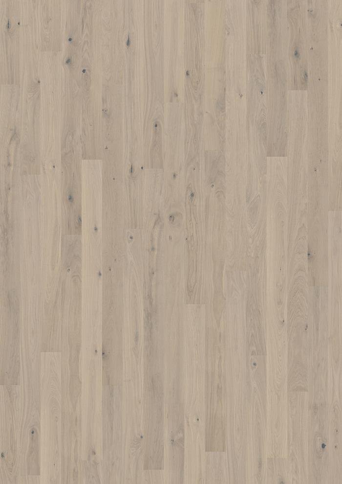 OAK MOSTRA MATTE