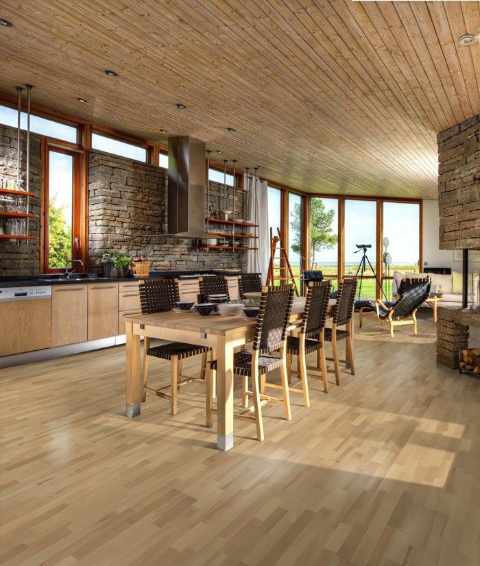 BEECH VIBORG - Image 4