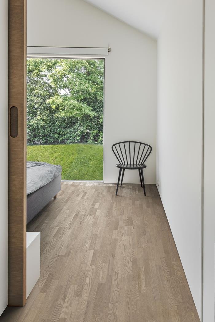 OAK TWILIGHT - Ảnh 2