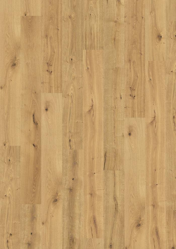 GRAND CANYON CLA 200