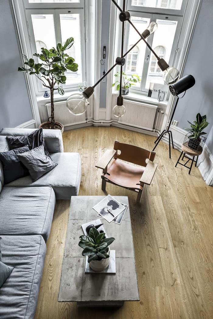 SERENGETI CLA 200 - Ảnh 2