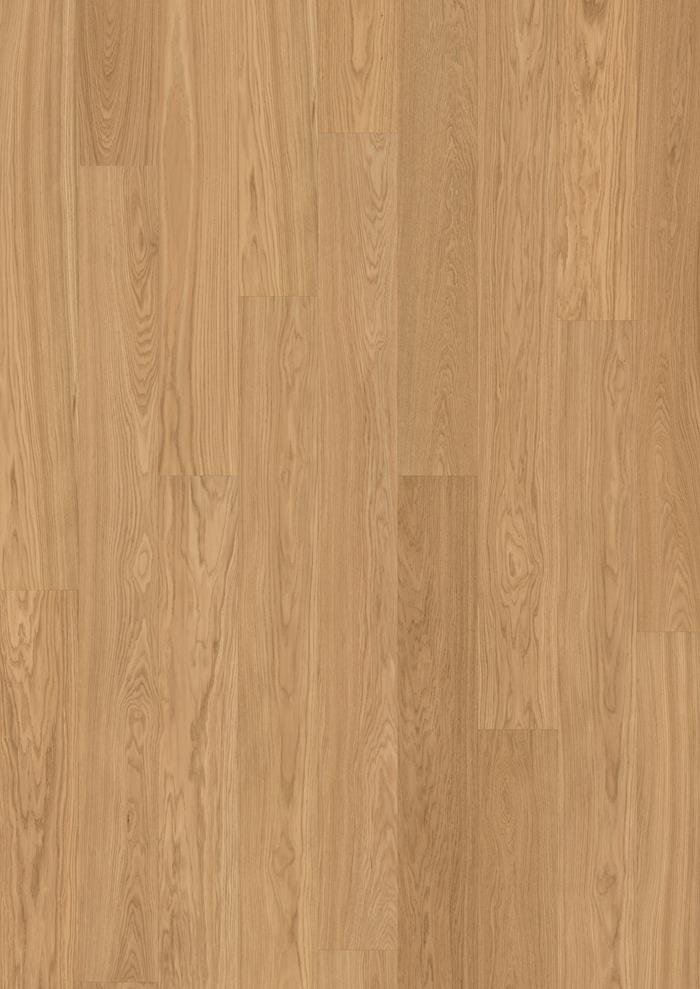 OAK NUTMEG PLANK