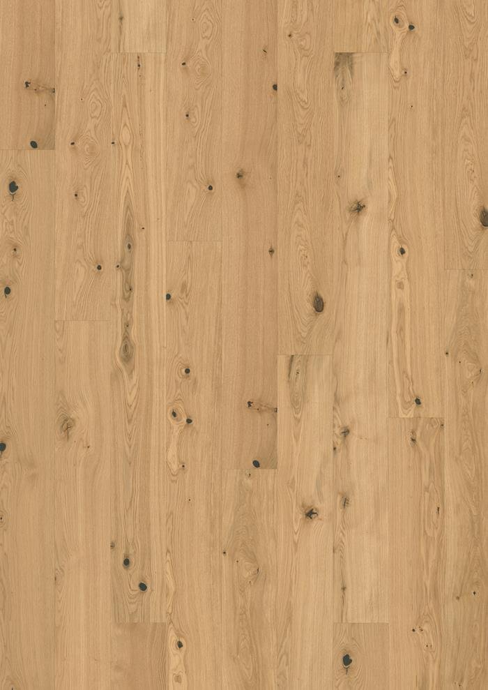 OAK FENNEL PLANK