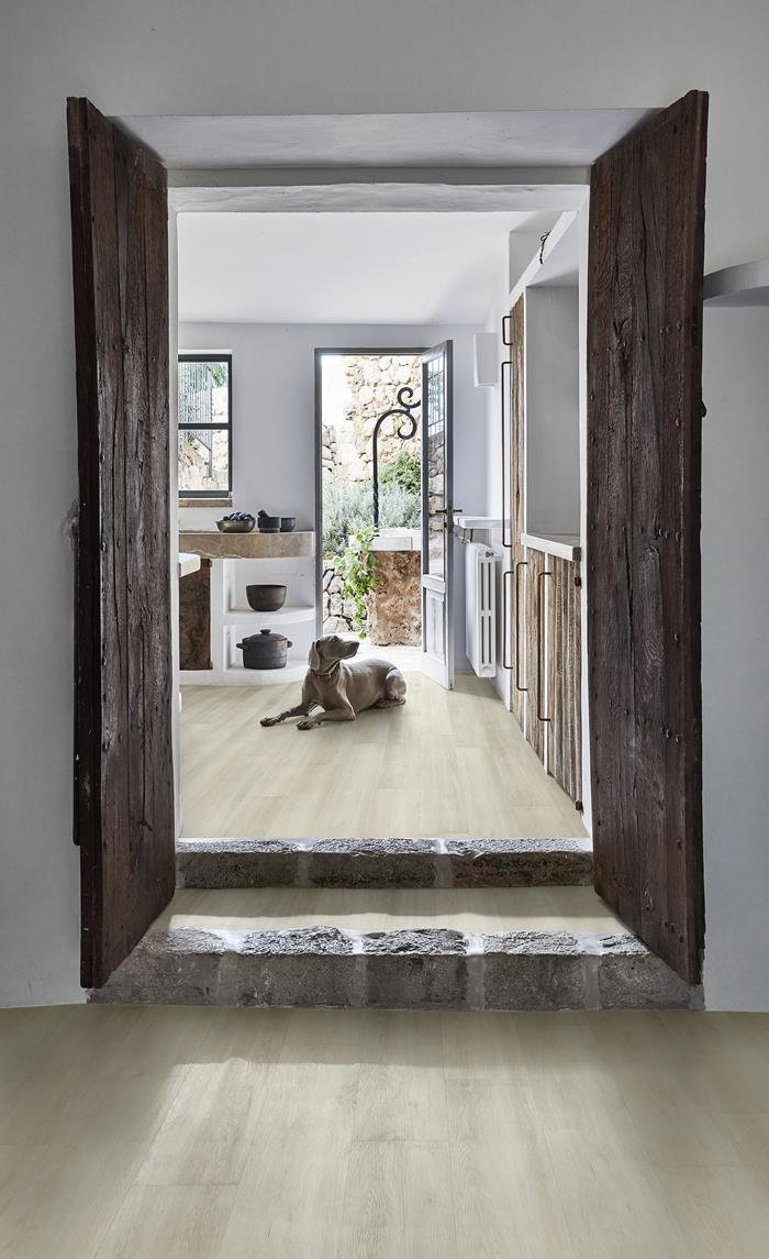 ASPEN - CLICK 6 MM - Ảnh 4