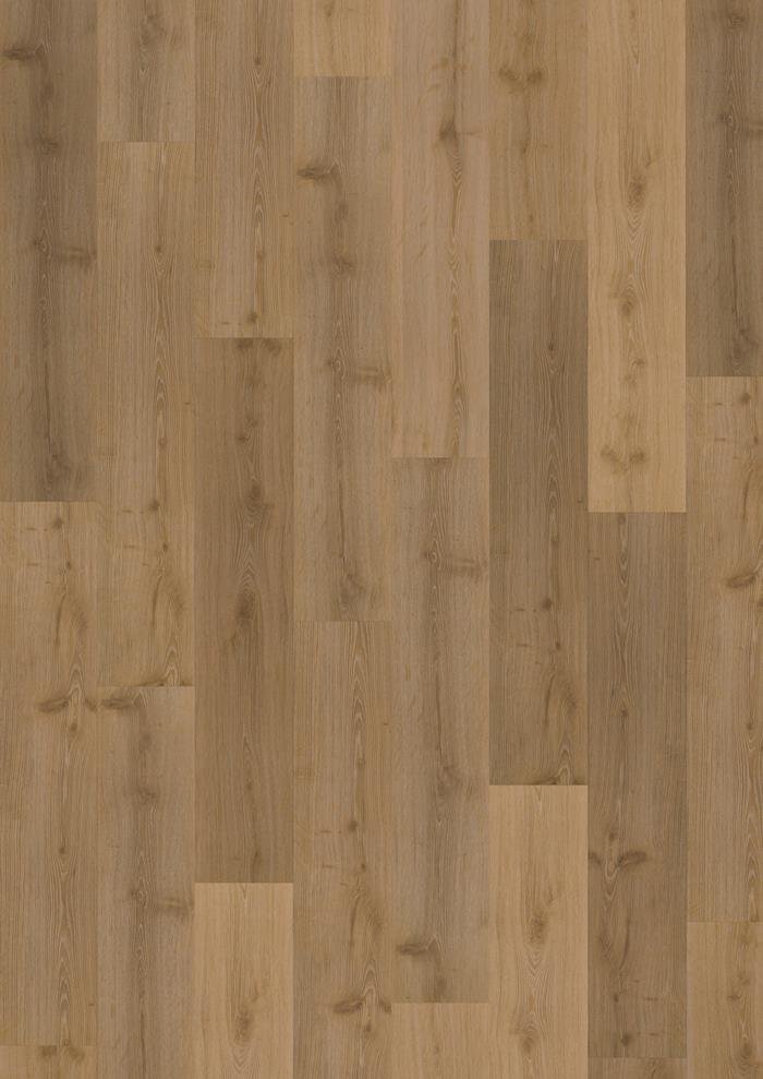 AKKELIS - CLICK 6 MM